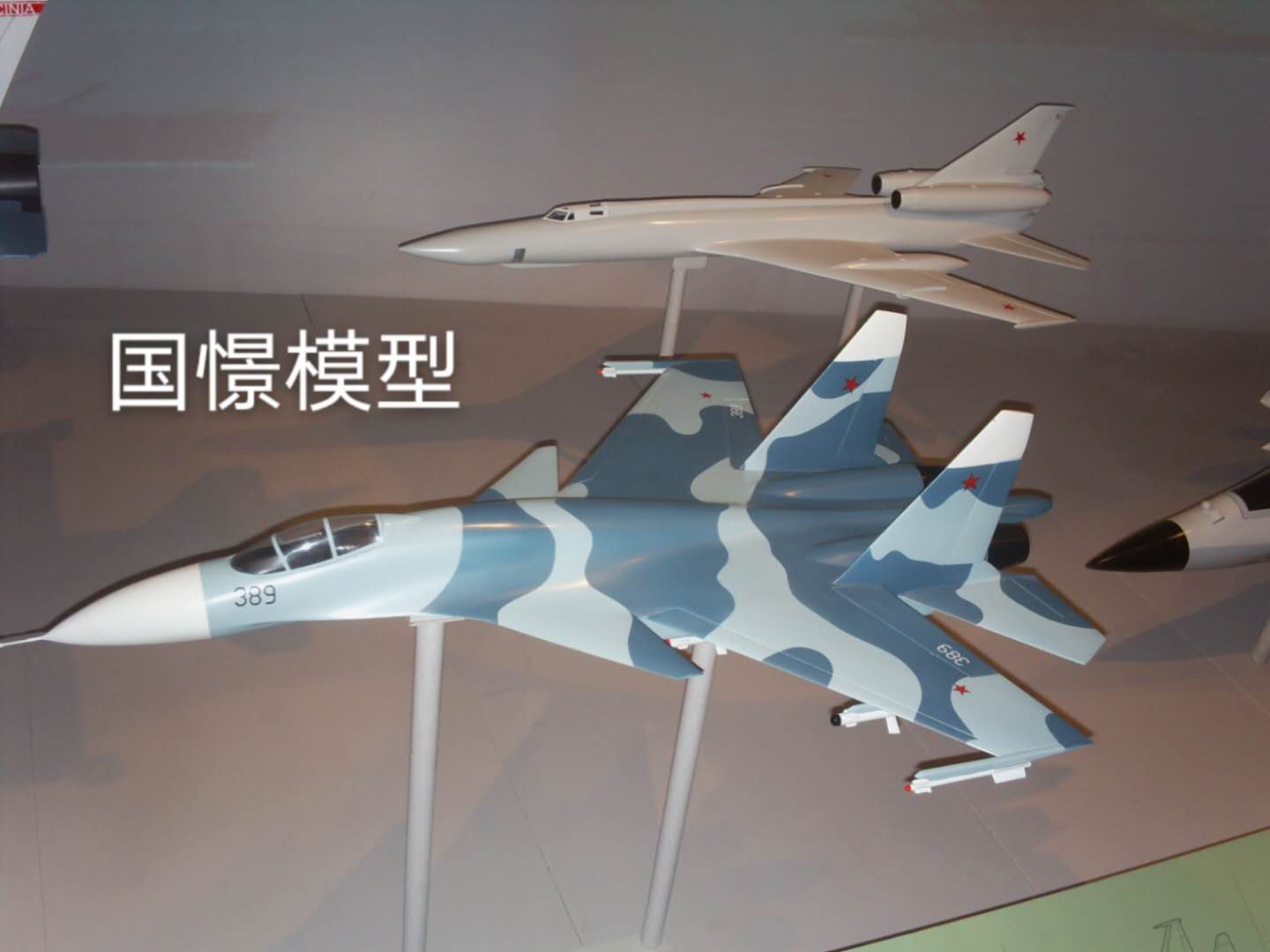 安化县军事模型